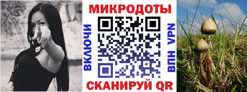 Галлюциногенные грибы Cubensis  хочу наркоту  Ува 